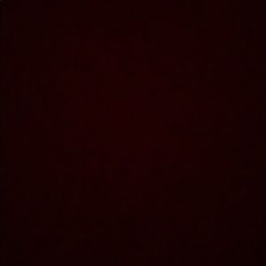 Meet your Posher, Anabelle